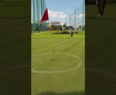 Golf New Hole Chips #golf #foryou #sports #cartoon #usa #japan #korea #follow #fypシ #funny #russia