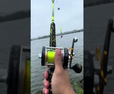 Our Catfish Pro 600CTS Round Baitcaster Reel is used and approved by HookedUpFishing!