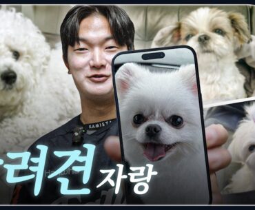 야구선수 반려견 총출동🐾 한화이글스 선수들의 반려견을 소개합니다!