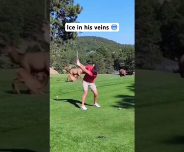 Have to love the dialed in focus on this drive #golf #golflife #shorts