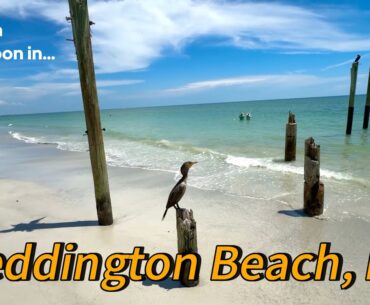 ASMR | Swim with Me in REDDINGTON BEACH, FL 🌊☀️
