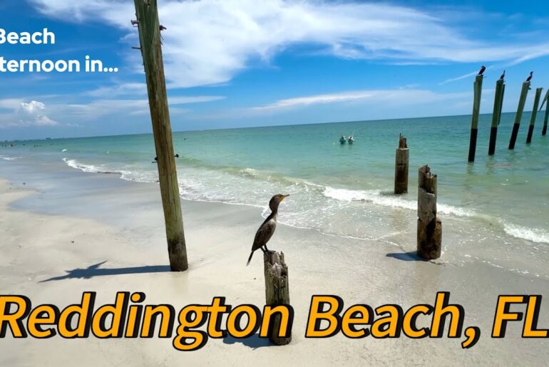 ASMR | Swim with Me in REDDINGTON BEACH, FL 🌊☀️ ASMR | Swim with Me in REDDINGTON BEACH, FL 🌊☀️