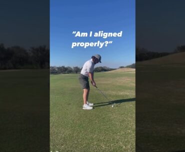 When The Cart Girl is Watching #shorts