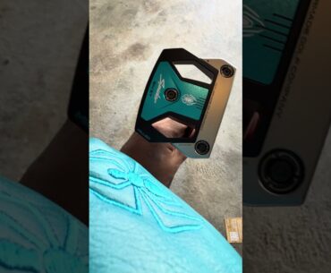 Part 3 Final Round vs Spider Zero Torque #taylormade #golf #putters #golfbumzusa #spiderx #lab