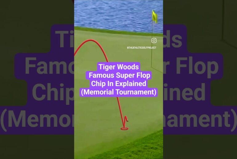 Tiger Woods Chips In At Memorial To Win #jacknicklaus #tigerwoods #golftechnique #flopshot #pgatour Tiger Woods Chips In At Memorial To Win #jacknicklaus #tigerwoods #golftechnique #flopshot #pgatour