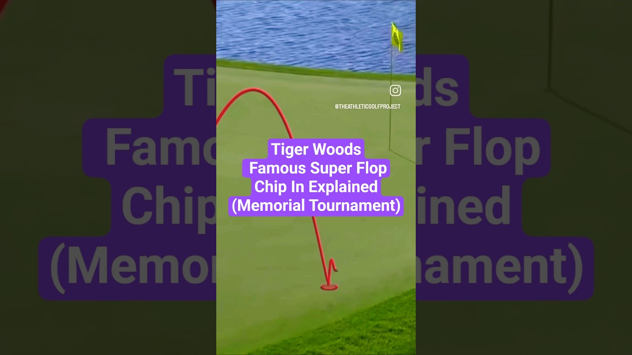 Tiger Woods Chips In At Memorial To Win #jacknicklaus #tigerwoods #golftechnique #flopshot #pgatour Tiger Woods Chips In At Memorial To Win #jacknicklaus #tigerwoods #golftechnique #flopshot #pgatour