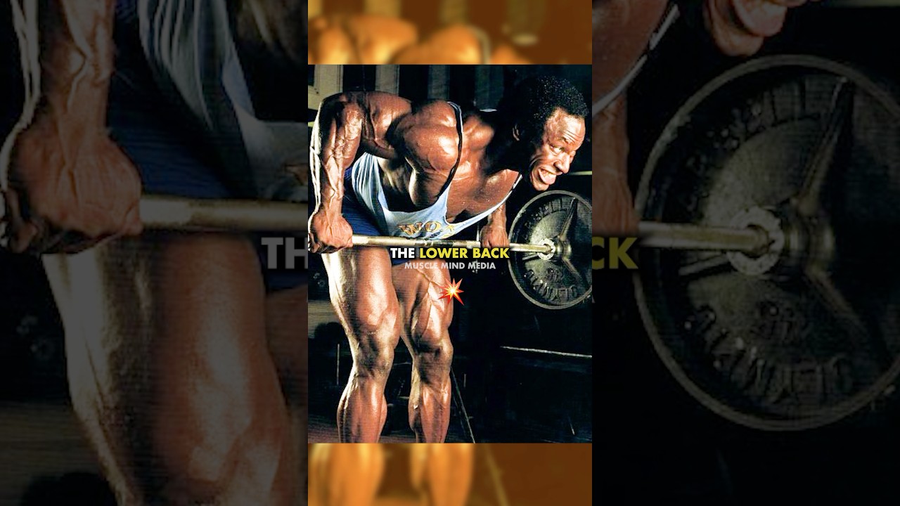 Lee Haney Shows How He Did Barbell Rows 💥 #shorts Lee Haney Shows How He Did Barbell Rows 💥 #shorts