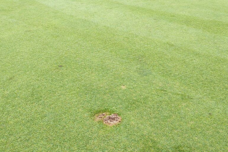 As a club pro, this kind of stuff really boils my blood As a club pro, this kind of stuff really boils my blood