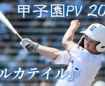 【甲子園】2025年 第107回 高校野球 夏の甲子園大会 名場面 「アルカテイル」【野球PV】