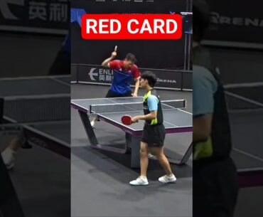 What's REALLY Going On with Wang Yang's Table Tennis Disqualification?