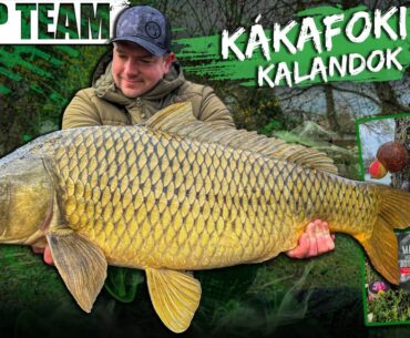 Rokolya Péter – Kákafoki kalandok 2.rész Rokolya Péter - Kákafoki kalandok 2.rész