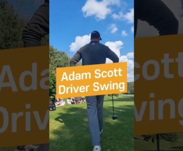 Adam Scott DriverSwing(아담 스콧 드라이버스윙) – 2025 GENISIS CHAMPIONSHIP, The Essence of Golf Swing Adam Scott DriverSwing(아담 스콧 드라이버스윙) - 2025 GENISIS CHAMPIONSHIP, The Essence of Golf Swing