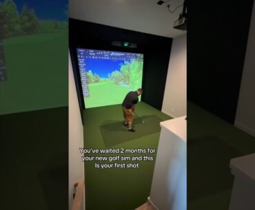 First shot on a new golf simulator — ever had this happen? 🎮 First shot on a new golf simulator — ever had this happen? 🎮