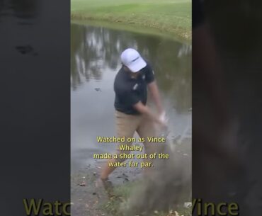Alligator stalks golfer on PGA Tour! #pgatour #fedexcup #golf