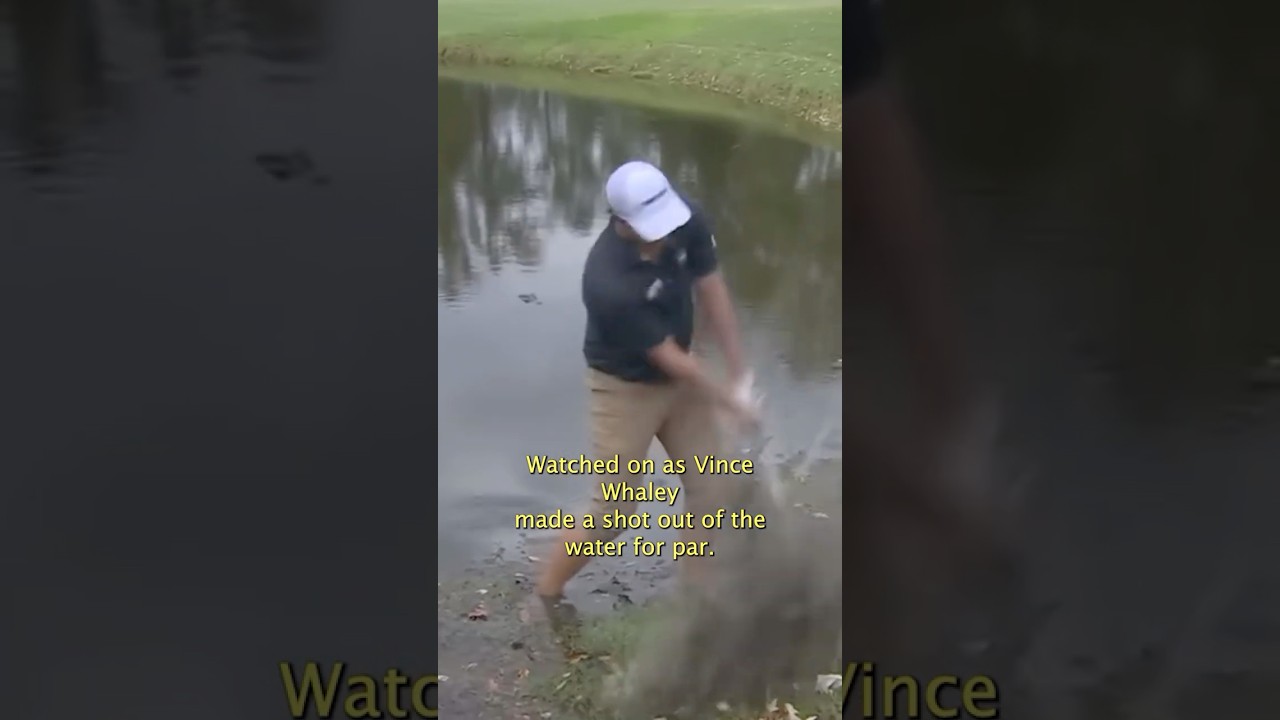 Alligator stalks golfer on PGA Tour! #pgatour #fedexcup #golf Alligator stalks golfer on PGA Tour! #pgatour #fedexcup #golf