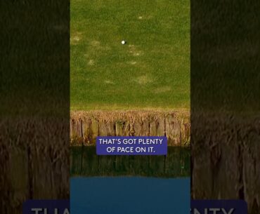 Has this EVER happened before?! 🫣