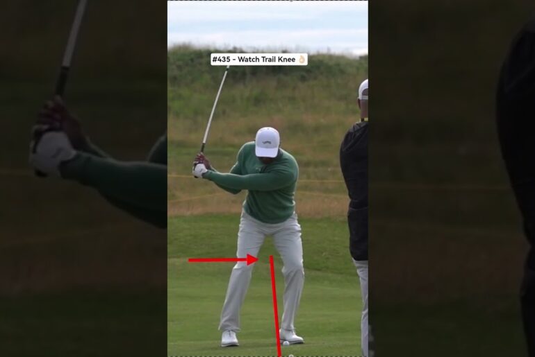 Trail Knee Movement (Tiger Woods) Trail Knee Movement (Tiger Woods)