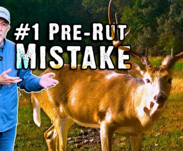 The #1 Mistake Hunters Make During the Pre-Rut (and How to Fix It) The #1 Mistake Hunters Make During the Pre-Rut (and How to Fix It)