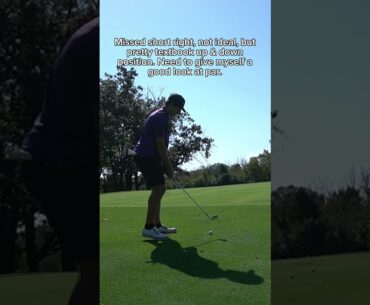 The energy at the end #golf The energy at the end #golf