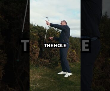 What can you do if your ball comes to rest in a bush?