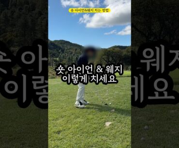 50미터이내 웨지샷 이것 정말 중요합니다.