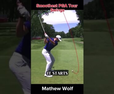 Smoothest PGA Tour Swings | Mathew Wolf