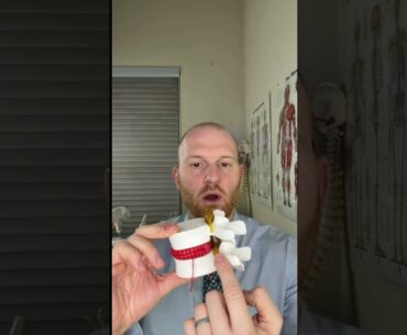 Tiger Woods Back Surgery Explained!  Tiger Woods