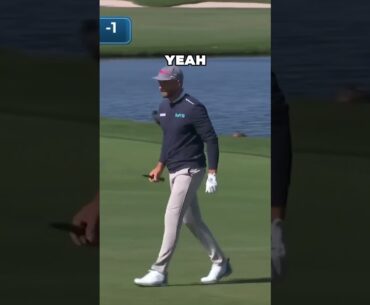 Wyndham Clark’s Perfect Third Shot Drops In! What a Finish! 🎯🏌️‍♂️ #PGATOUR #GolfHighlights