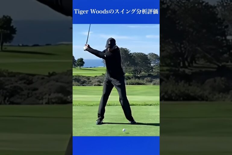 Tiger Woodsのスイング分析評価#short Tiger Woodsのスイング分析評価#short
