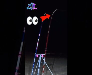 Landing a Ray in a Big Swell!