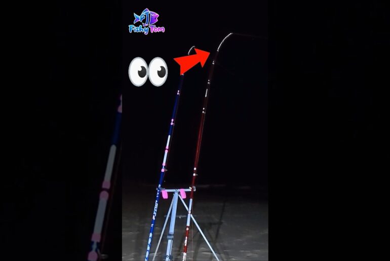 Landing a Ray in a Big Swell! Landing a Ray in a Big Swell!