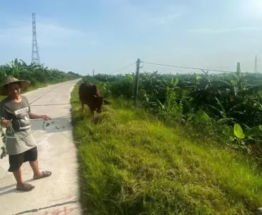 Trump-branded golf resort in Vietnam hits snag over land dispute The project in Vietnam’s Hung Yen province is facing land recovery delays as residents contest the amount of compensation being offered by local authorities.