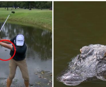 Sanderson Farms Championship leaderboard, scores, Vince Whaley, hits shot next to an alligator, video, highlights