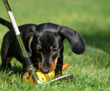 Yahoo lifestyle home