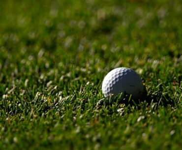 Human skull found at Pine Oaks Golf Course in Tennessee