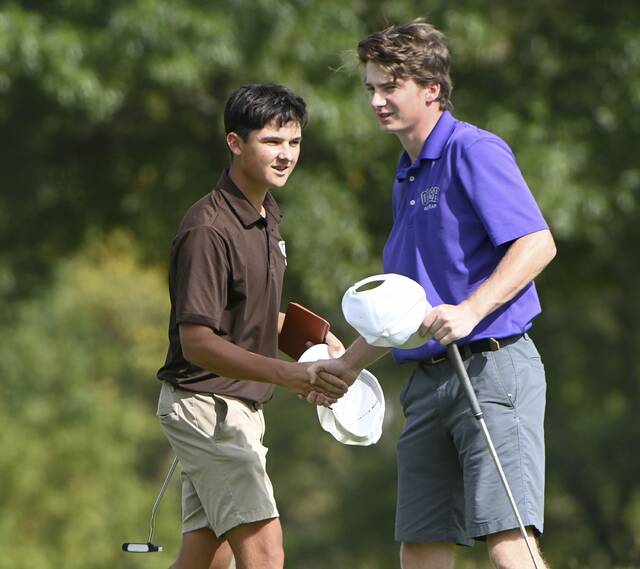 8910938_web1_ptr-WPIAL2Agolf02-100125
