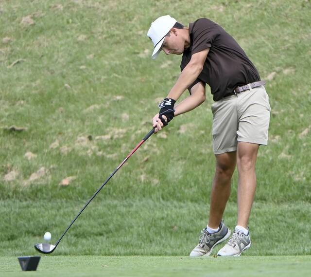 8910938_web1_ptr-WPIAL2Agolf03-100125