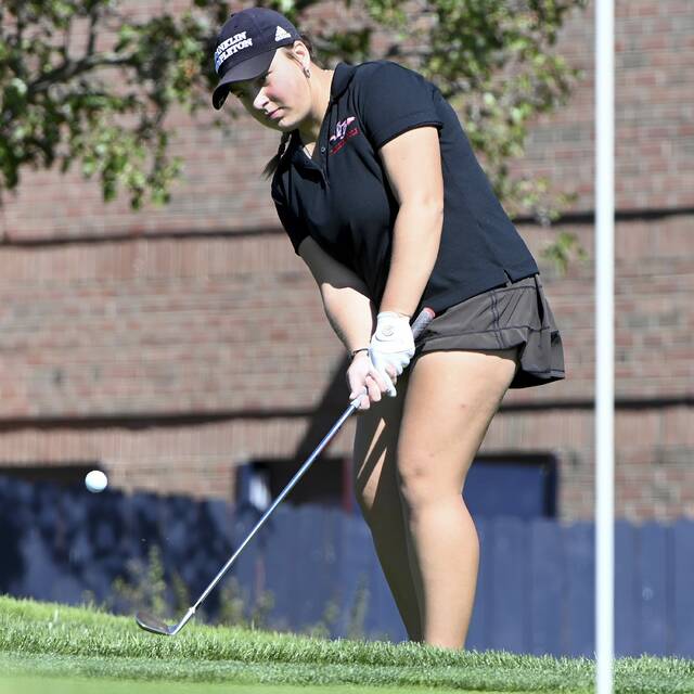 8914605_web1_ptr-WPIALGirlsGolf10-100225