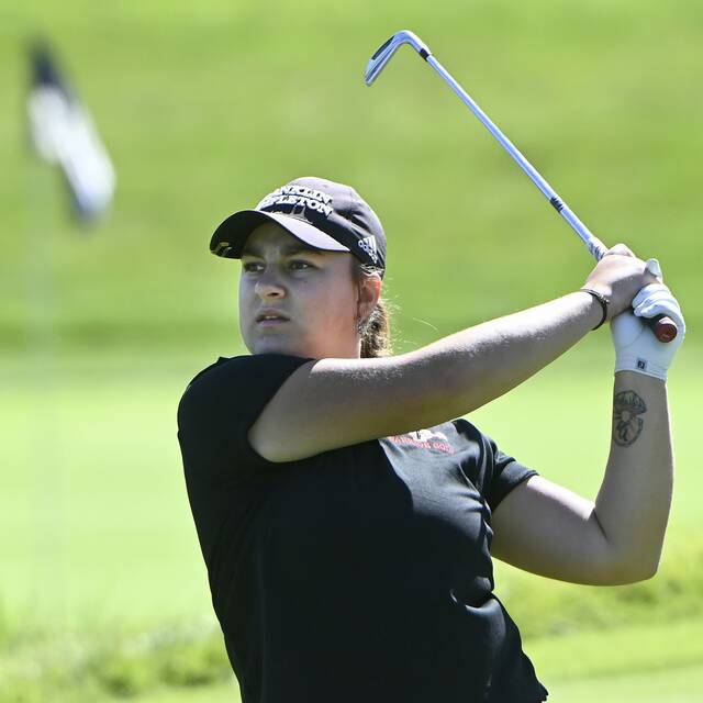 8914605_web1_ptr-WPIALGirlsGolf11-100225