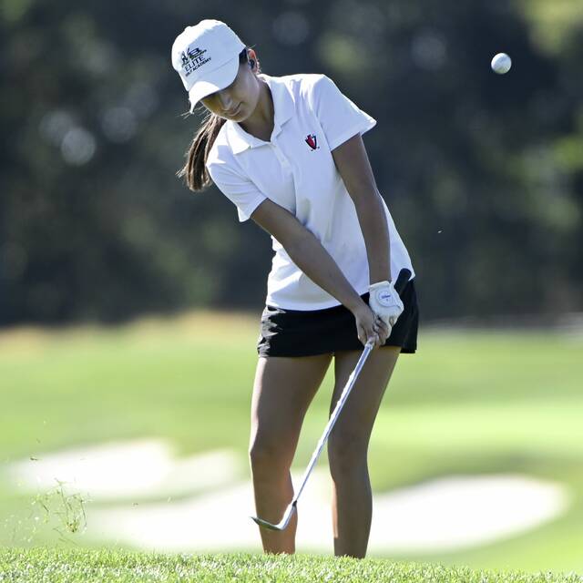 8914605_web1_ptr-WPIALGirlsGolf12-100225