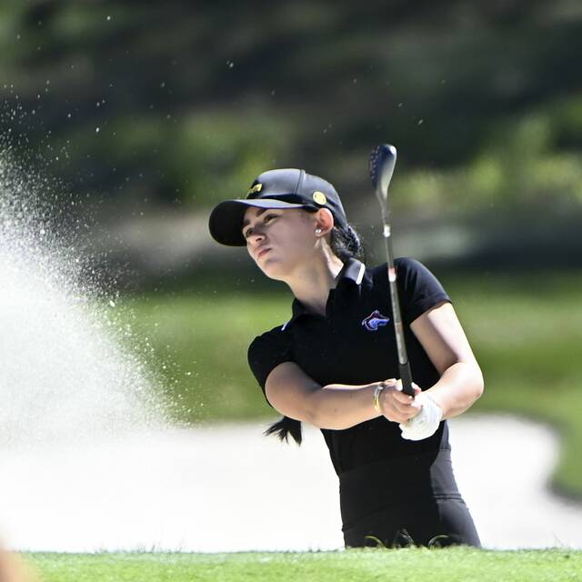 8914605_web1_ptr-WPIALGirlsGolf13-100225