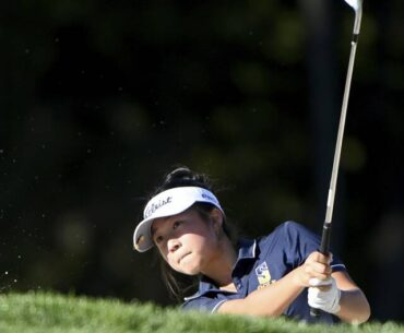 8916991_web1_ptr-WPIALGirlsGolf02-100225