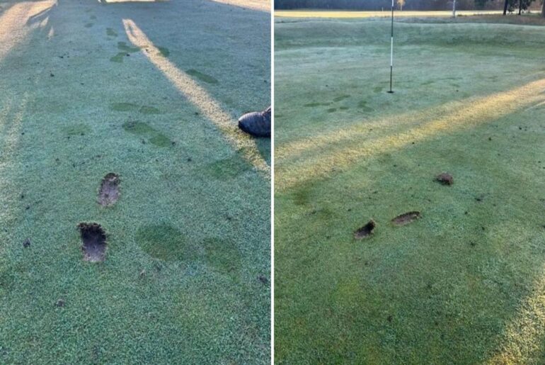 Vandals strike again at County Durham golf course as staff issue urgent plea Download app from appStore