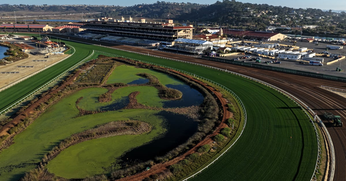Racing’s own Ryder Cup can escape the worst flag-waving excesses of golf – The Irish Times Racing’s own Ryder Cup can escape the worst flag-waving excesses of golf – The Irish Times