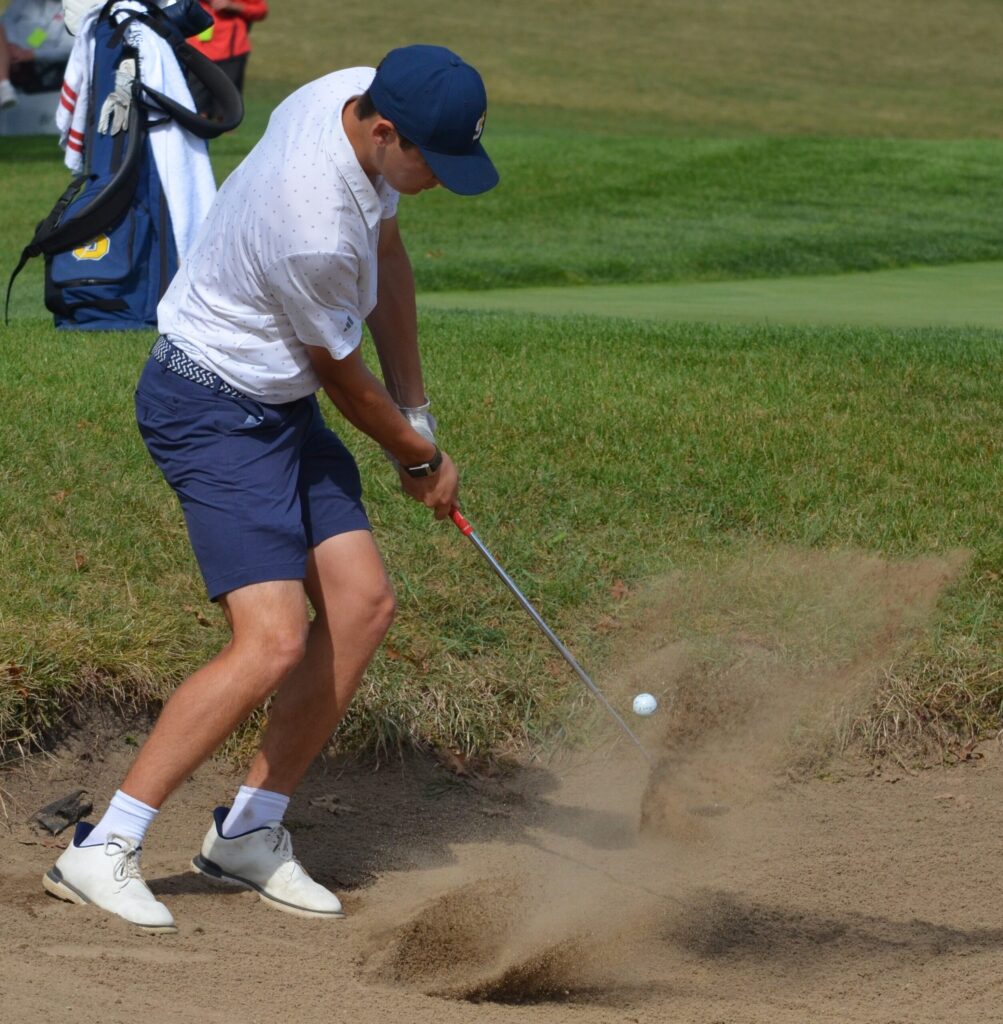 Boys Golf Sectionals: Hersey, Stevenson, St. Viator Qualify For State