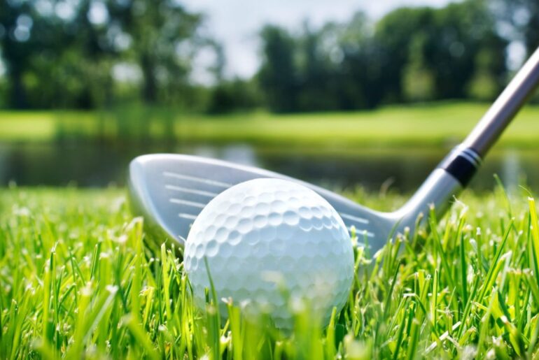 ‘Lucky’ Stolen Dodge Challenger Lands in Golf Course Pond ‘Lucky’ Stolen Dodge Challenger Lands in Golf Course Pond
