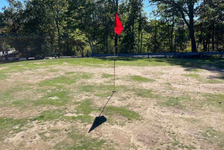 The greens at the Leo J. Martin golf course in Weston are more browns.