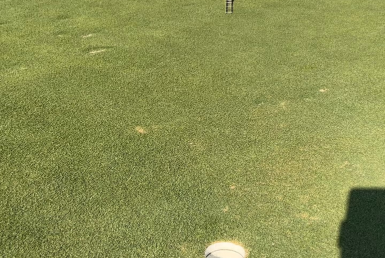 Fall golf is here! Is it worth it to take a few extra steps to move the leaves out of your line? Fall golf is here! Is it worth it to take a few extra steps to move the leaves out of your line?