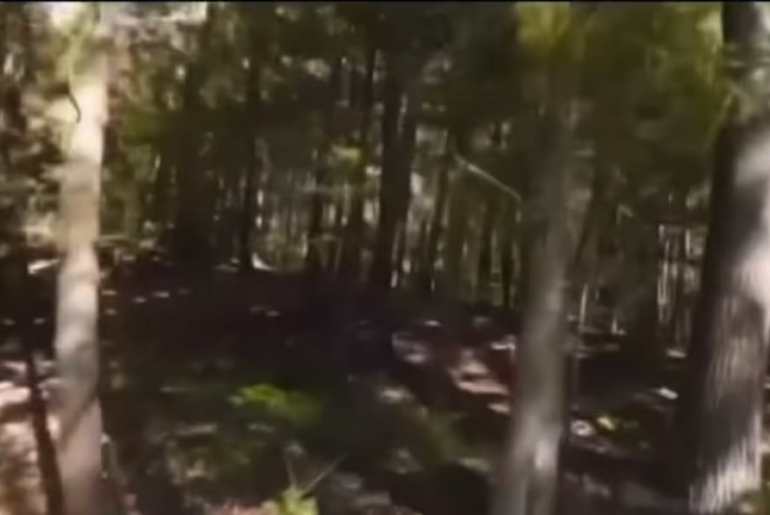 If a golf ball had a camera on its head