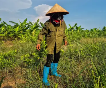 Trump-branded golf resort in Vietnam hits snag over land dispute Trump-branded golf resort in Vietnam hits snag over land dispute